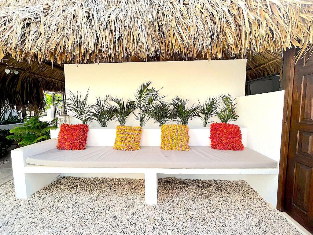 Fotografie z fotogalerie ubytování Aruba Lagunita v destinaci Palm-Eagle Beach