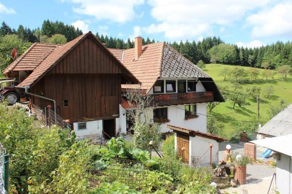 a house with a wooden roof on a hill at Ferien auf der Fleischdielte in Mühlenbach