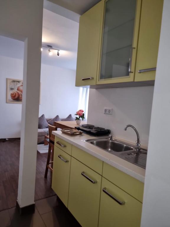 Kuchyň nebo kuchyňský kout v ubytování Berghotel-Willingen