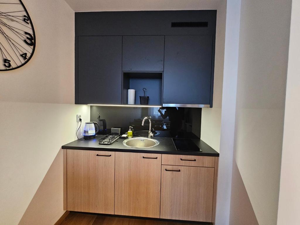 Kuchyň nebo kuchyňský kout v ubytování Zlatni Javor, Apartment 408