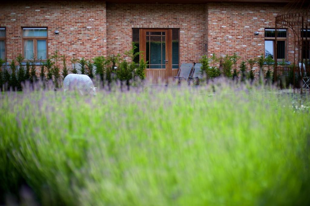 Zahrada ubytování B&B Gielse Garden