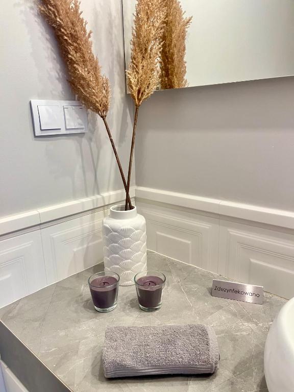 Apartamenty Kielce- Apartament Zacisze -Komfort przy Baseny Tropikalne, faktura, parking, centrum - 13