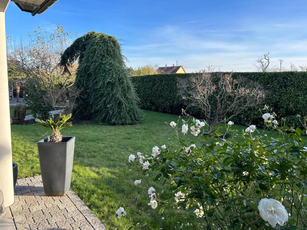 Grande maison au calme – photo 11