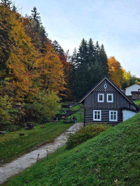 ein schwarzweißes Haus auf einem Hügel in der Unterkunft Chata Sára in Janské Lázně