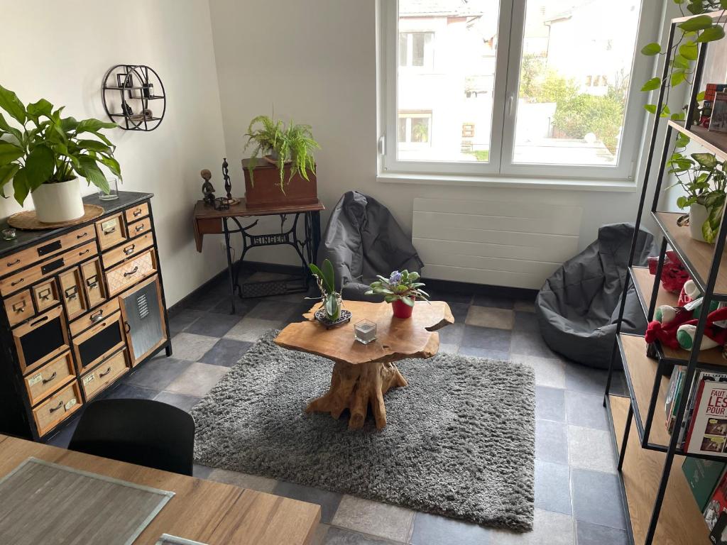 una sala de estar con una mesa en el centro en Appartement 70m2 dans maison avec jardin, en Bischheim