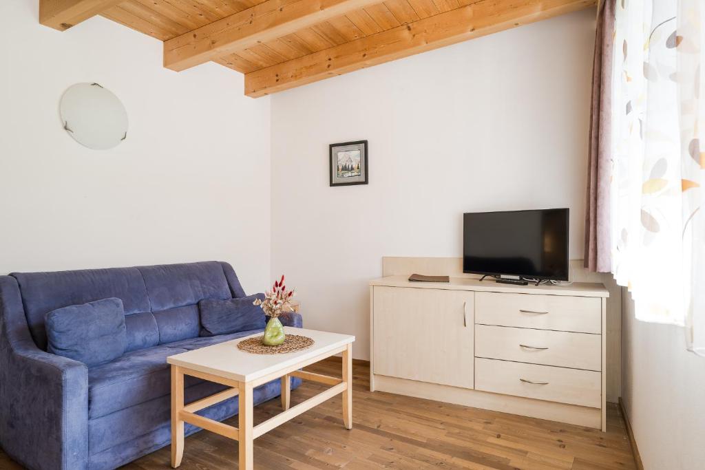 Televízia a/alebo spoločenská miestnosť v ubytovaní Residence Reisenschuh
