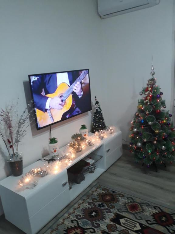 uma sala de estar com televisão e uma árvore de Natal em Apartman Drina em Berilovac
