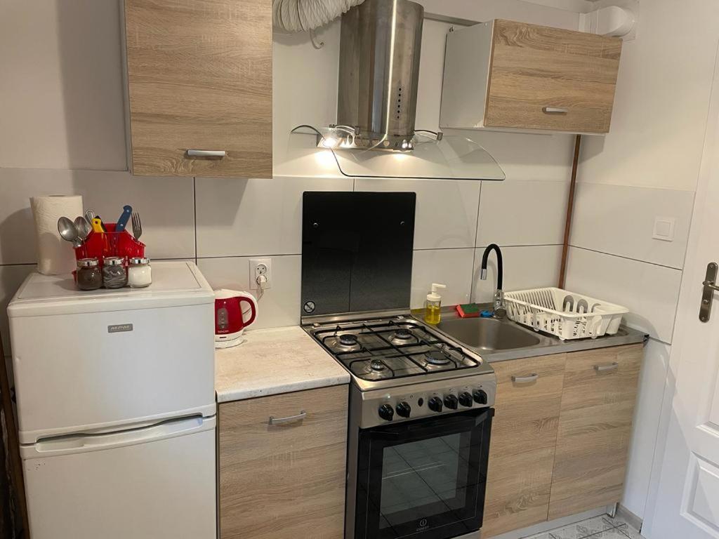 Kuchyňa alebo kuchynka v ubytovaní Apartment Konopnickiej - PARKING FREE