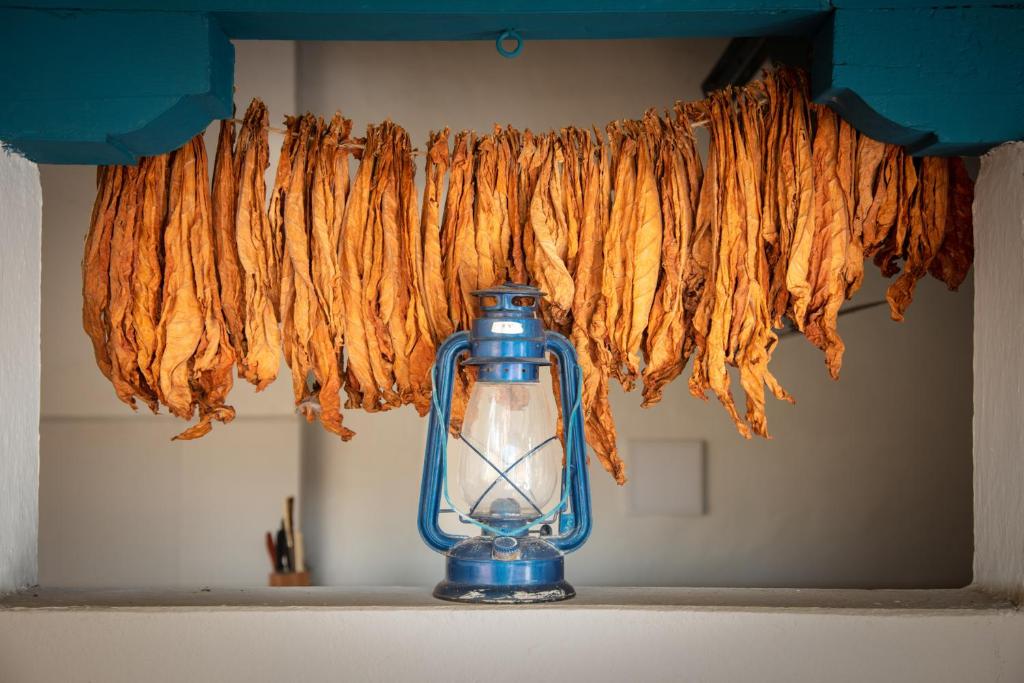 a blue jar sitting on a counter next to a row of hanged bacon at Posada del Campanario in Barichara