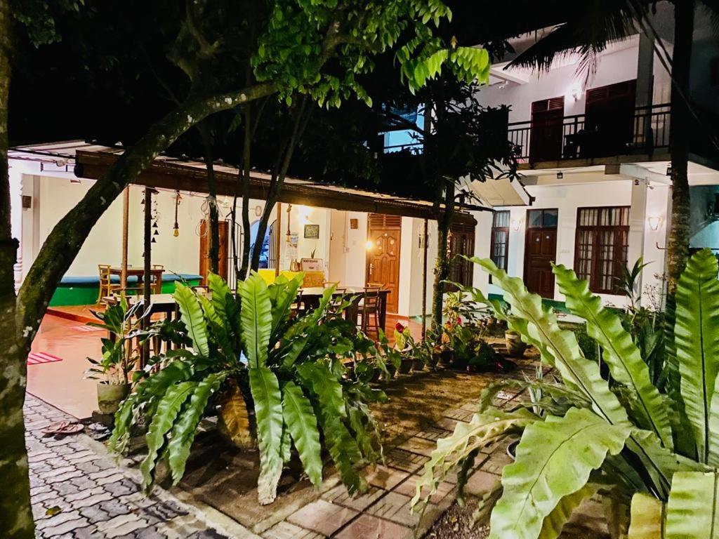 Zahrada ubytování Gihan Guesthouse