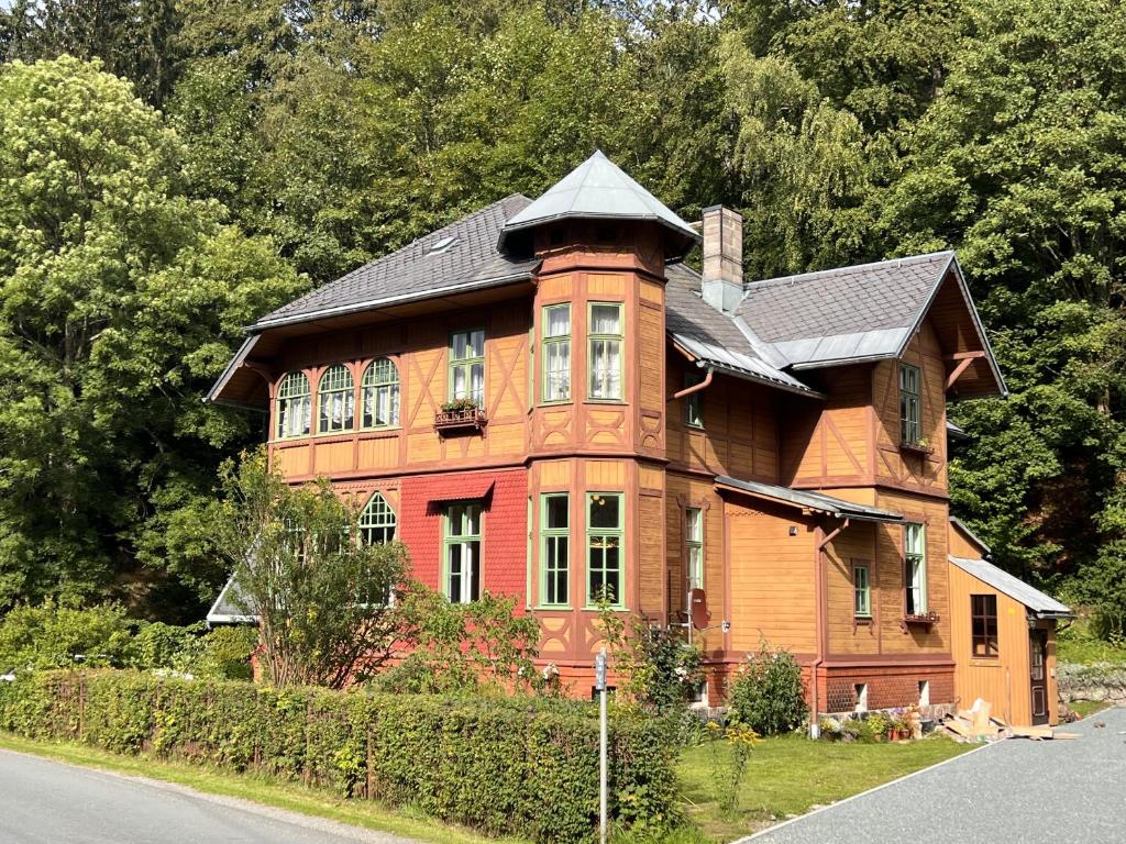 ein großes Holzhaus am Straßenrand in der Unterkunft Villa Lattermann in Muldenhammer