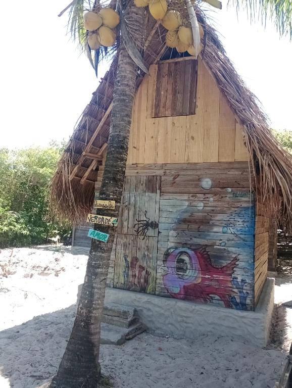 a small shack with a palm tree in front of it at cabana sabiá in Camaçari