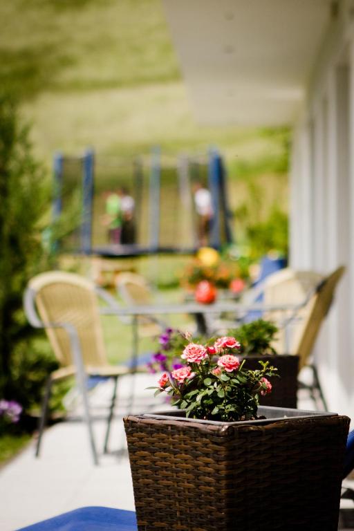 A garden outside Apart Bergecho