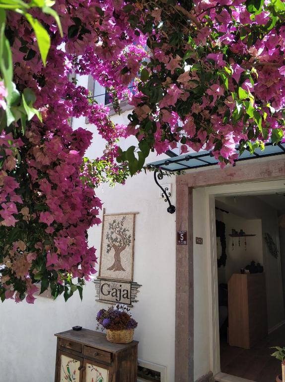 Giardino di Gaja Ayvalık