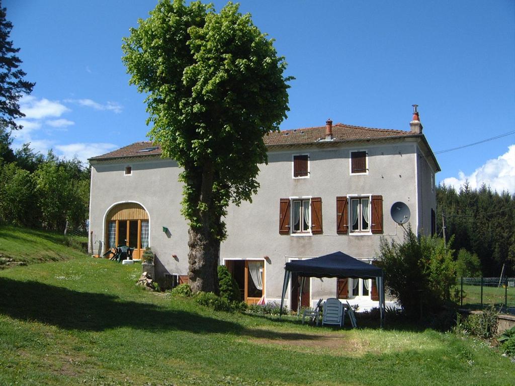 una gran casa blanca con un árbol delante en Maison Neuve Grandval, en Grandval