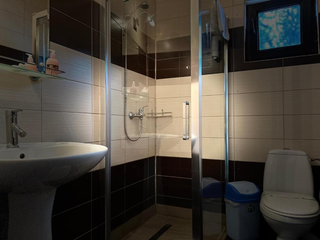 a bathroom with a shower and a toilet and a sink at Casa Lupascu in Vatra Dornei