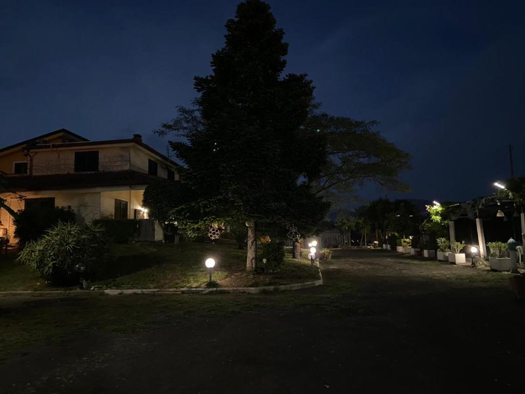 a tree in front of a house at night at Al Rifugio in Montecorvino Pugliano