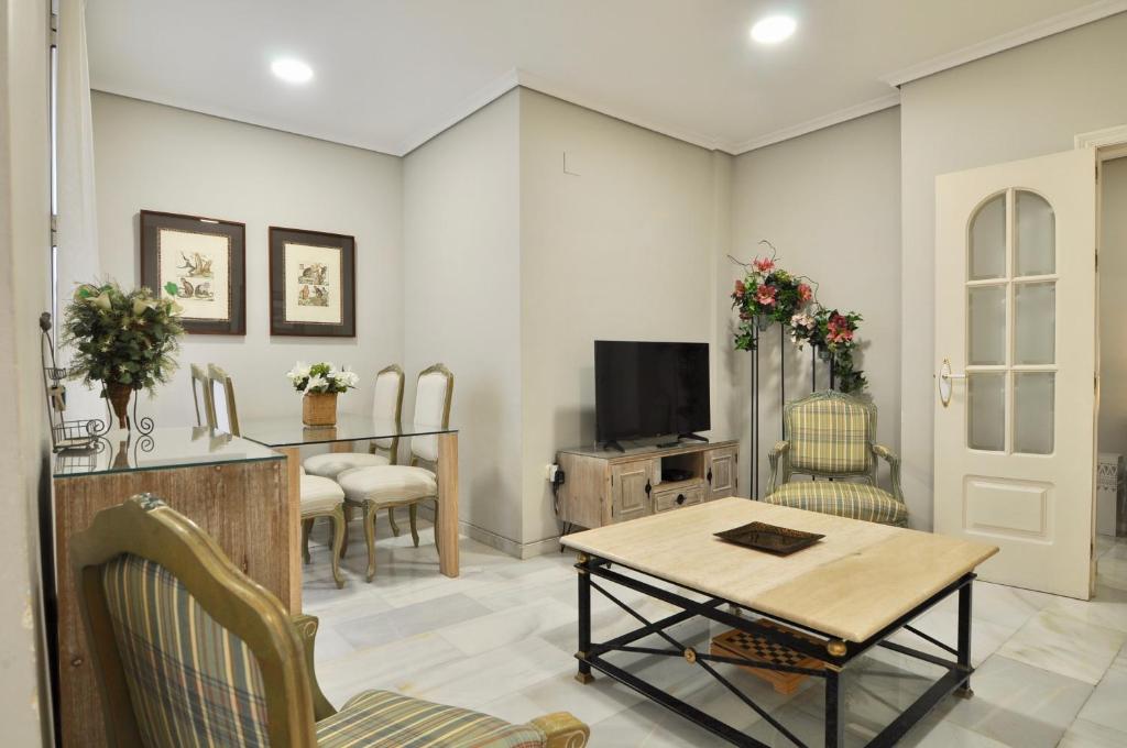 TV a/nebo společenská místnost v ubytování Apartamentos Alfonso XIII