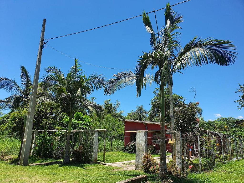 une maison avec une clôture et deux palmiers dans l'établissement Casa Vermelha Dois, à Antonina