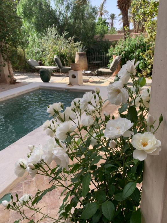 RIAD CHANT D'ETOILES tadighoust - Five-Bedroom House