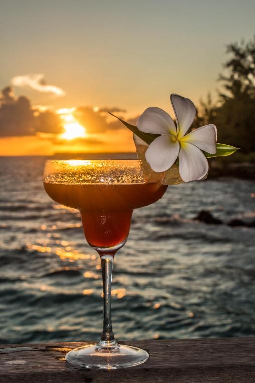 a drink with a flower on top of the ocean at Maitai Rangiroa in Avatoru