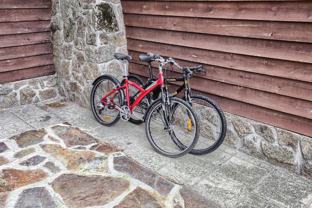 Jízda na kole v ubytování La Cabaña nebo okolí
