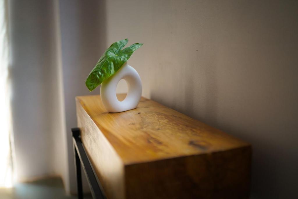 SoultoSoul Guesthouse - Triple Room With Garden View