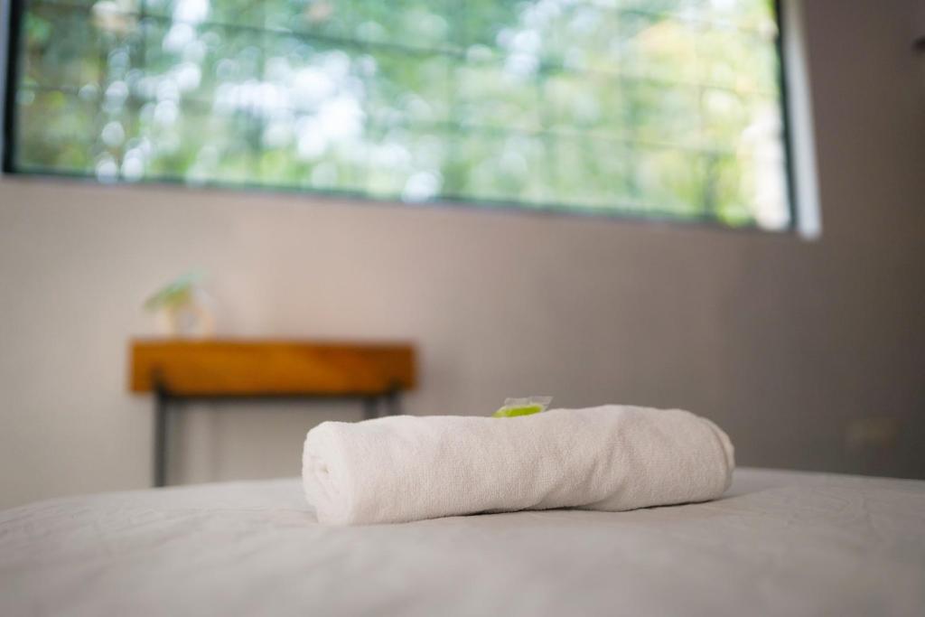 SoultoSoul Guesthouse - Standard Twin Room With Garden View