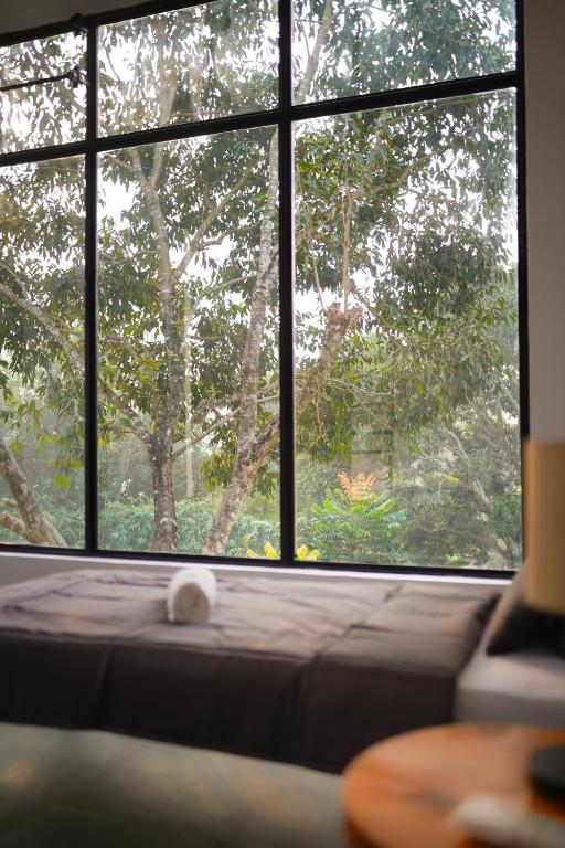 SoultoSoul Guesthouse - Triple Room With Garden View