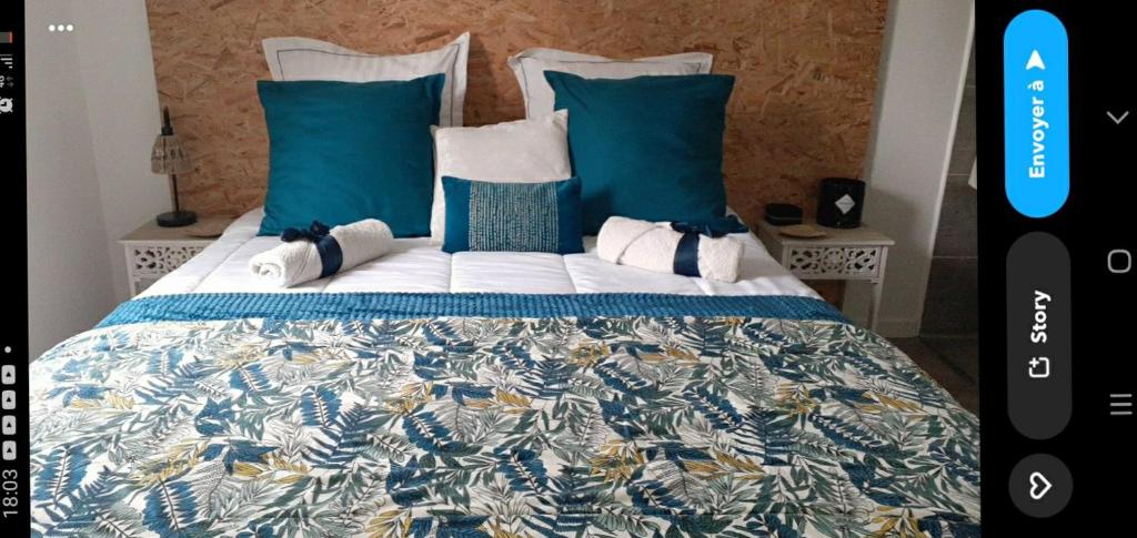 a bedroom with a bed with blue pillows at Chambre Cocooning in Beauvoisin