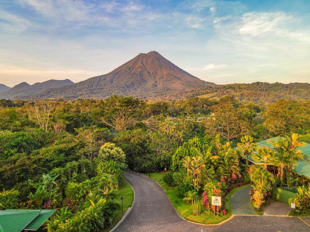 una strada attraverso una foresta con una montagna sullo sfondo di Arenal Manoa Resort & Hot Springs a Fortuna