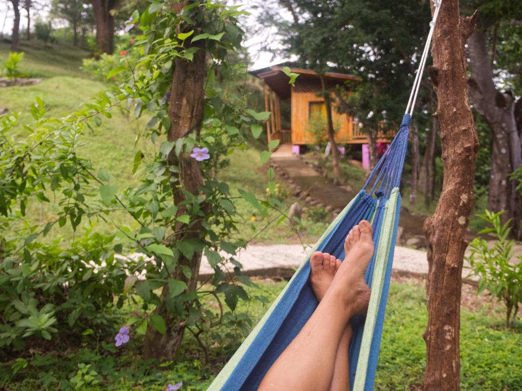 Zahrada ubytování Finca Colibri Ecolodges en Pleine Nature ferry Playa Najanjo Costa Rica