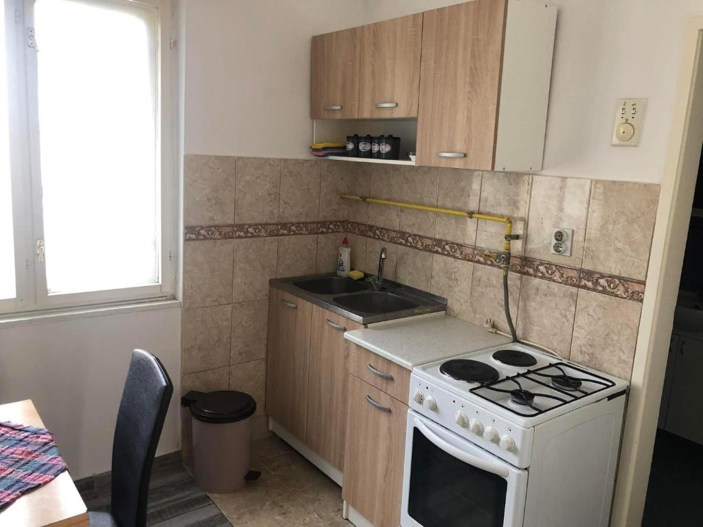 una pequeña cocina con fogones y fregadero en Apartman Jankovic, en Vrbas