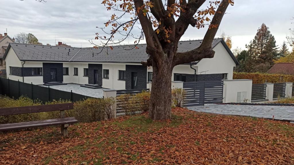 a white house with a tree and a bench at Apartmány Volavka in Planá nad Lužnicí