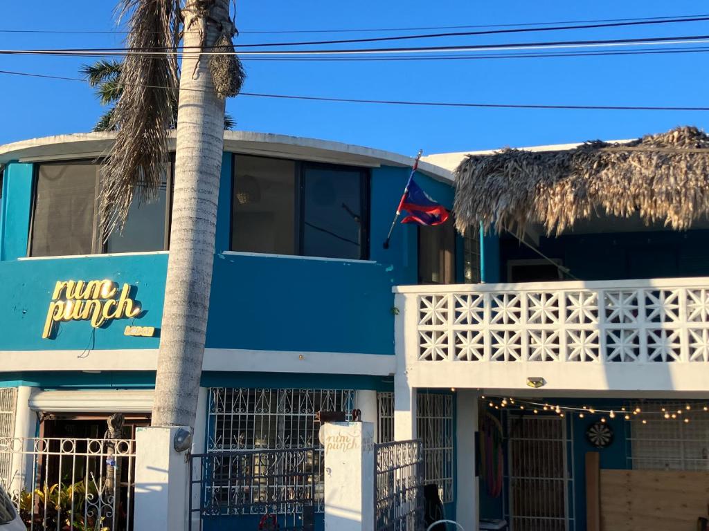 科羅札爾市的住宿－Rum punch lodge，棕榈树蓝色的建筑