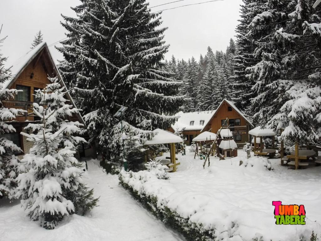 Alpina Maisonette Poiana Brasov - Resim 18