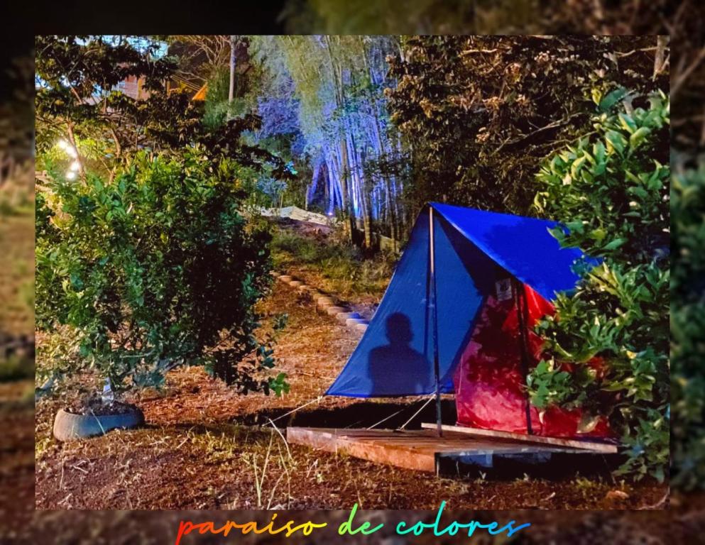 Κήπος έξω από το Hostel paraiso de colores