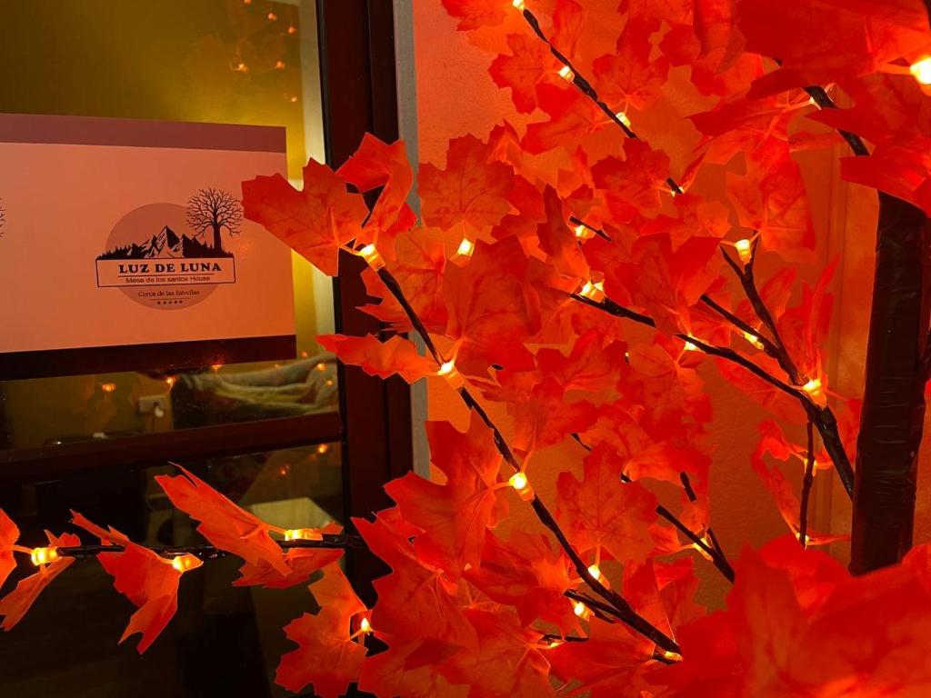 Ảnh trong thư viện ảnh của LUZ DE LUNA mesa de los santos house ở Los Santos