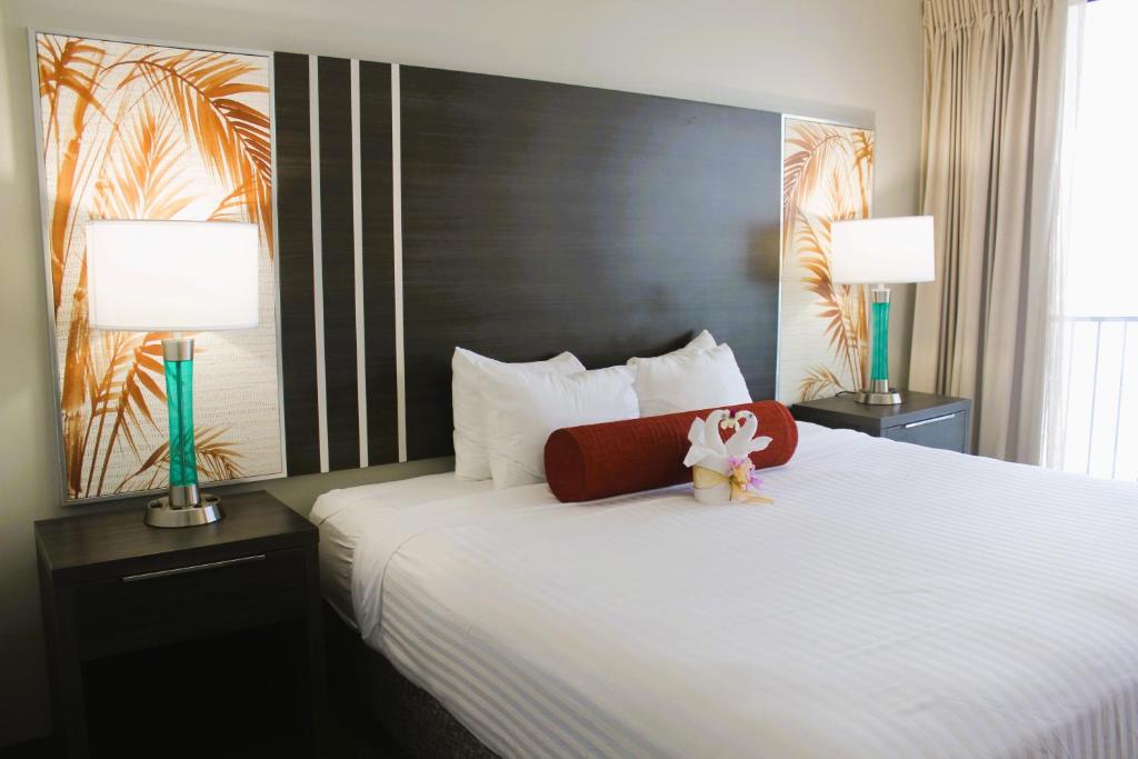 misia siedzącego na łóżku w pokoju hotelowym w obiekcie Elevated Aqua Palms Waikiki Studio condo w mieście Honolulu