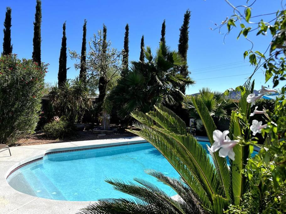a swimming pool in a yard with palm trees at Desert Oasis- *Pool and Hot Tub* in Phoenix