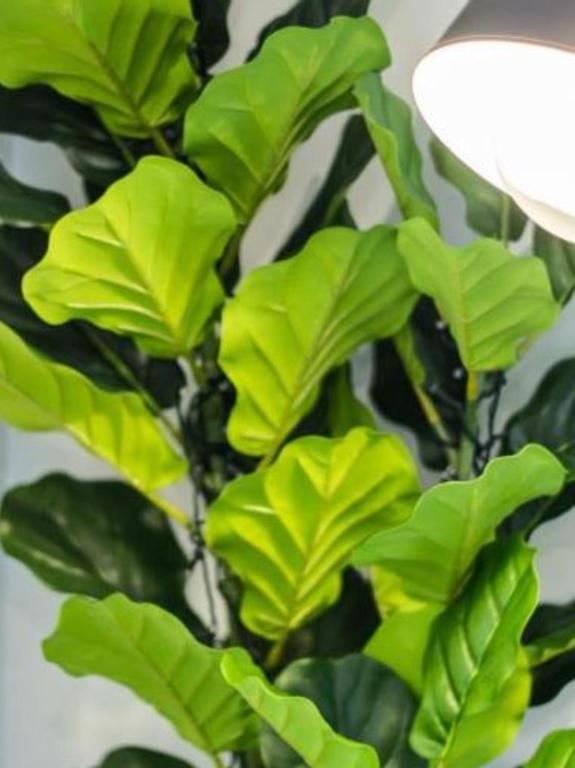 A touch of Luxury in Chch CBD - Resim 33