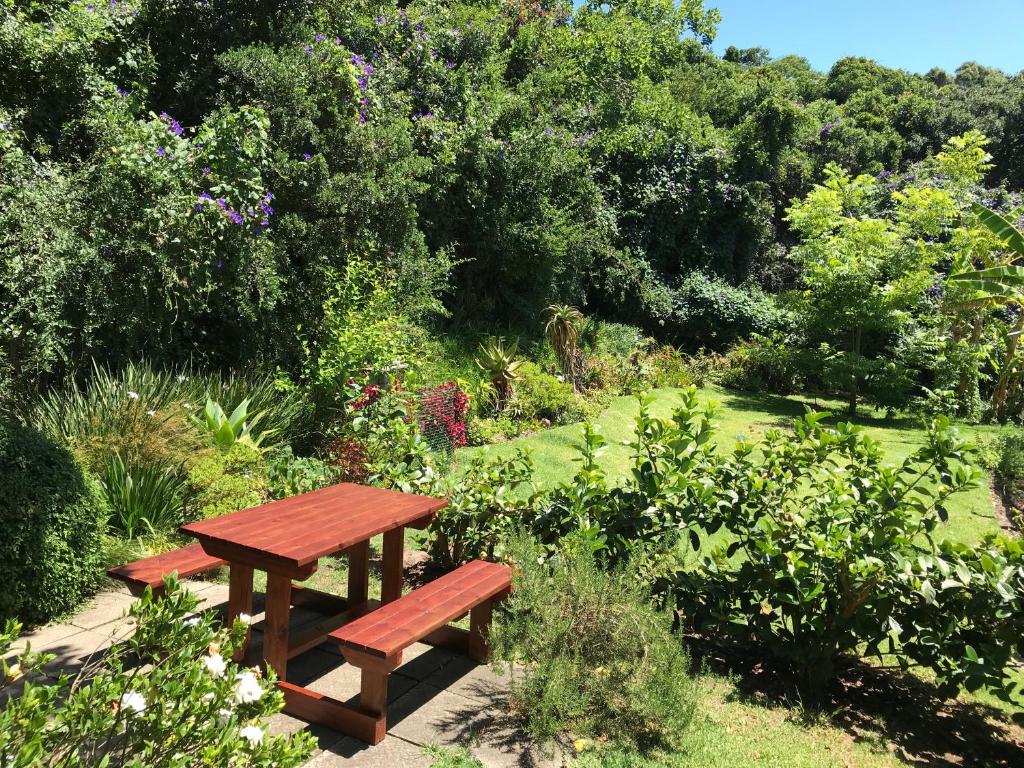 a wooden bench sitting in the middle of a garden at Loeriewood Garden Apartment, Hunters Home in Knysna