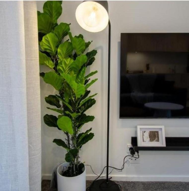 A touch of Luxury in Chch CBD - Resim 9