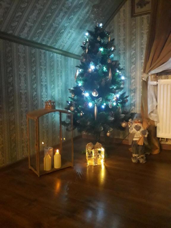 Królowa Luiza i Wiking - Two-Bedroom Apartment