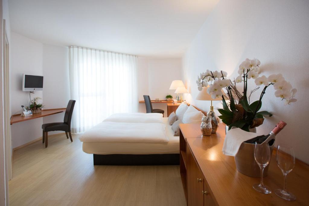 TV a/nebo společenská místnost v ubytování Hotel & Restaurant Rose