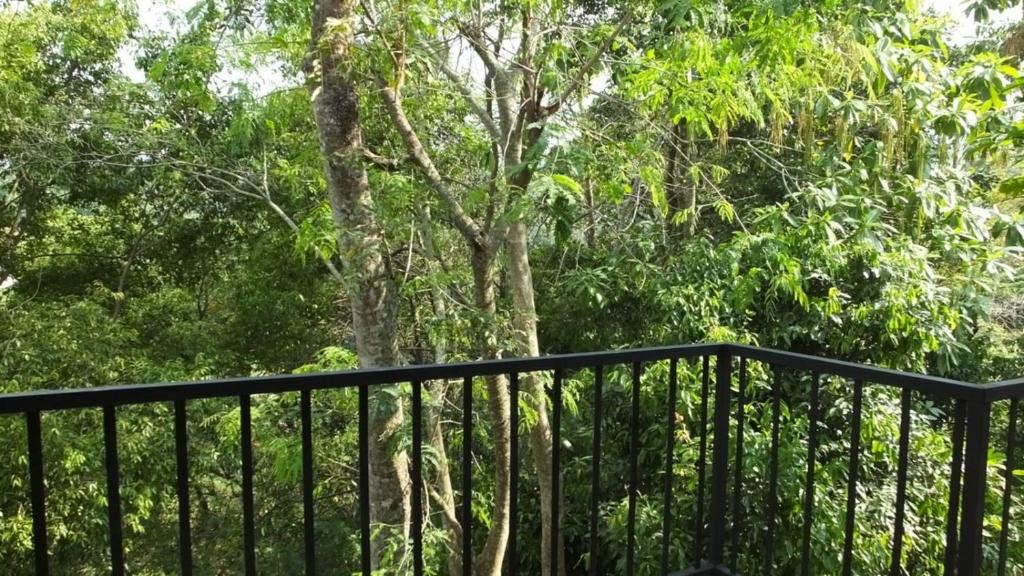 Villa Arunalu Kandy - 10