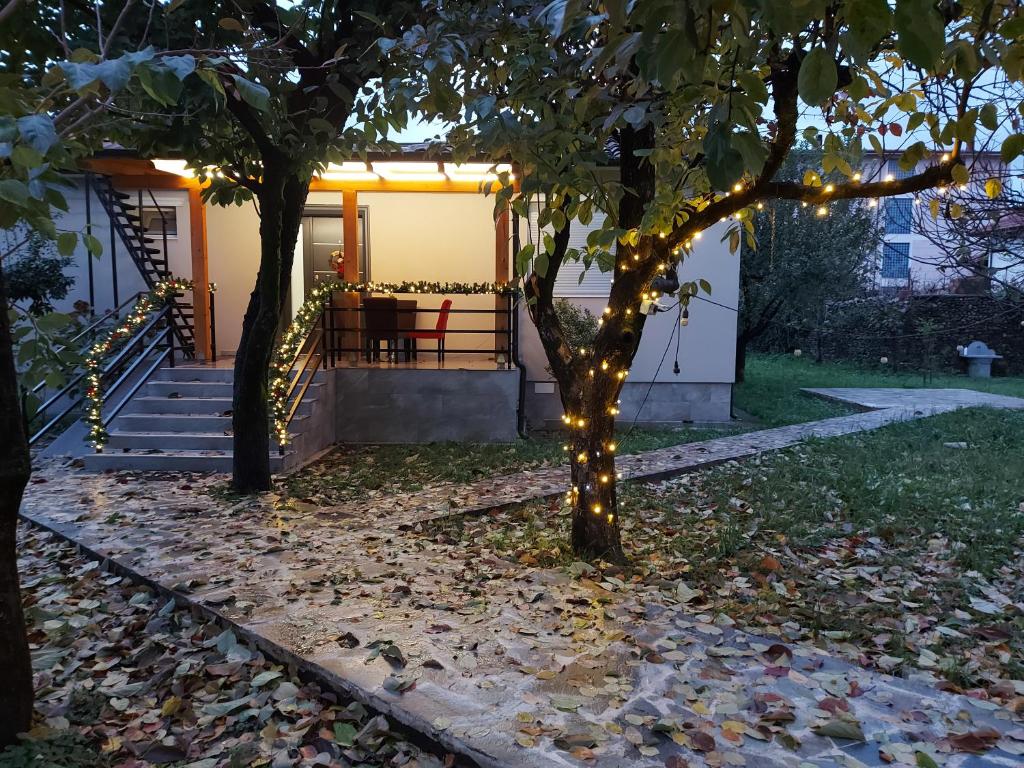 Nicolaus Hidden Gem Villa - Image 6