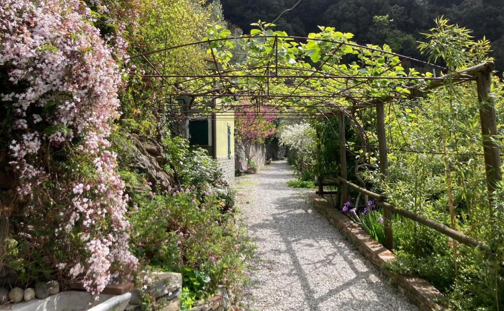 Villa Pietrafiore photo
