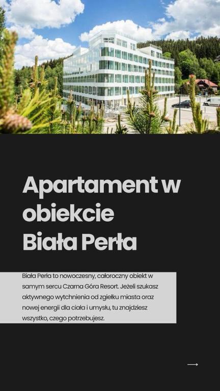 弦納的住宿－Biała Perła Czarna Góra Resort Apartament 102，大楼前办公大楼的广告