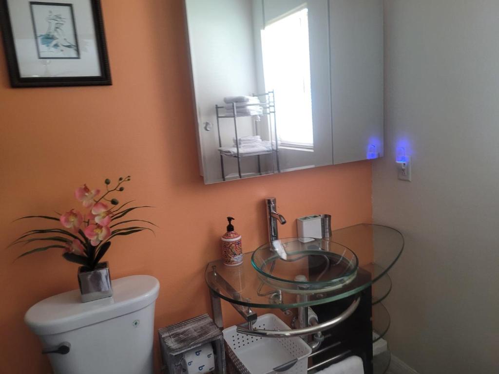 ~ Cozy In-law Apartment Close to Siesta Key ~ photo